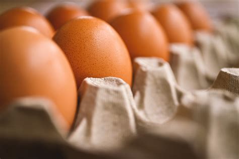 egg singapore ppc company|Cracking The Financials Behind Eggriculture, A Singapore, .